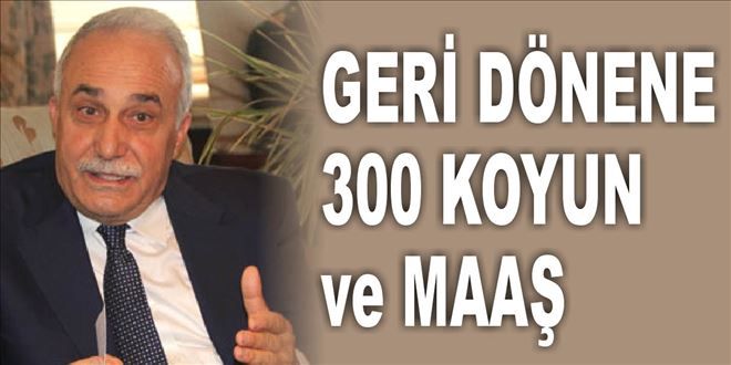 KÖYÜNE GERİ DÖNENE 300 KOYUN + MAAŞ