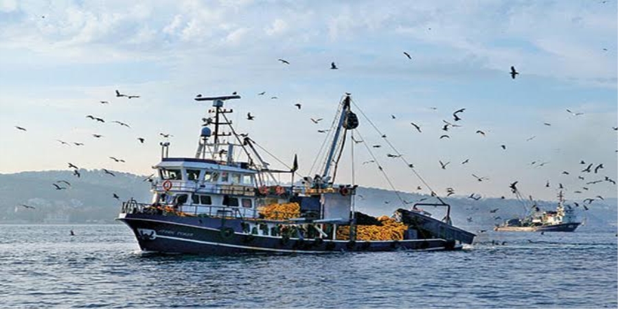 KARADENİZ’DE KALKAN BALIĞI KOTASINDA  EN BÜYÜK PAY TÜRKİYE’YE